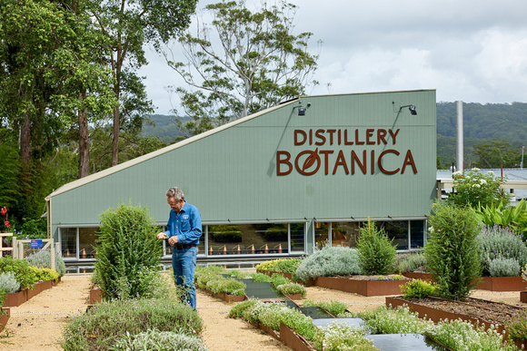 9013 Distillery Botanica006