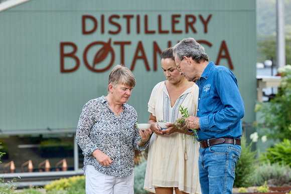 9013 Distillery Botanica173