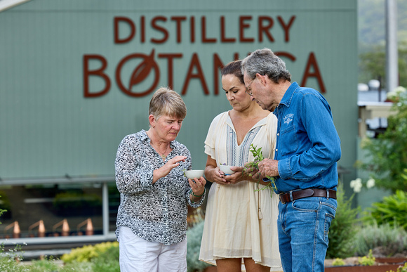 9013 Distillery Botanica174